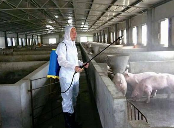 養殖場惡臭氣味監測